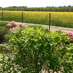 Bed & Breakfast Praski Dom