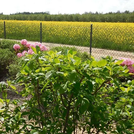 Nocleg ze śniadaniem Praski Dom